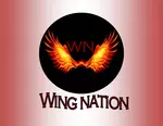 Wing Nation PC logo