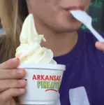 Arkansas Pineapple Whip logo