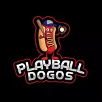PlayBall Dodos logo