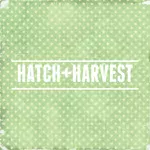 Hatch+Harvest logo