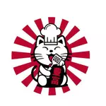 Kyonekko Hibachi Express logo