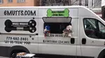6 Mutts Chicago/ Wiggle Waggles logo