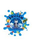 Frozen Sweets Truck logo