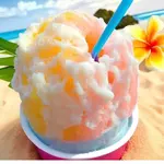  Tropical Sno logo
