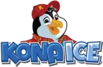 Kona Ice Celebration - Orlando/Kissimmee logo