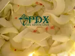 PDX Six Seven One logo
